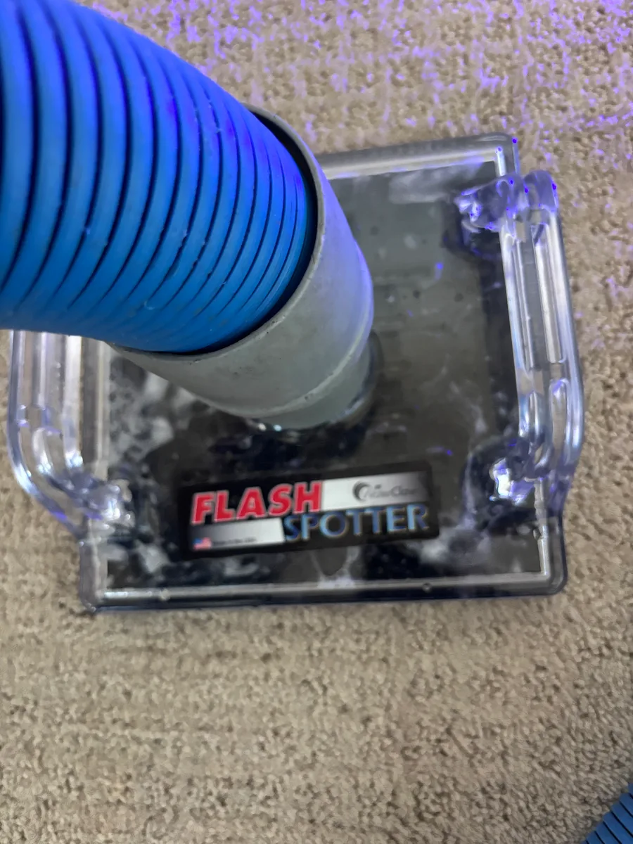 Hot water extraction equipment rinsing carpet