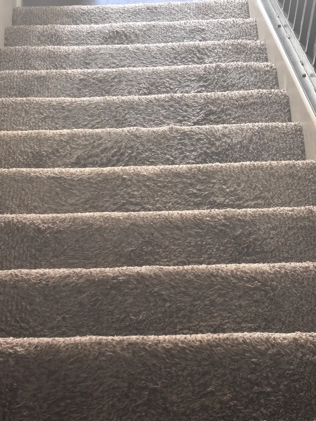 Clean brown carpeted staircase seen from the top step after a 316 visit