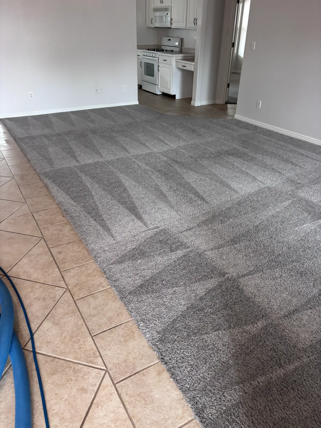 Gray living room carpet with fresh wand strokes next to tile and the kitchen