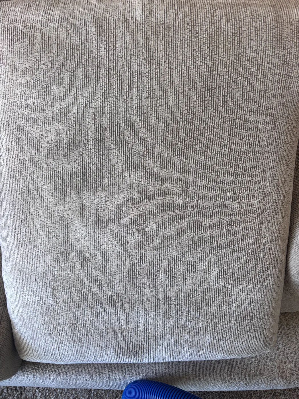 Light gray upholstery cushion after cleaning by 316
