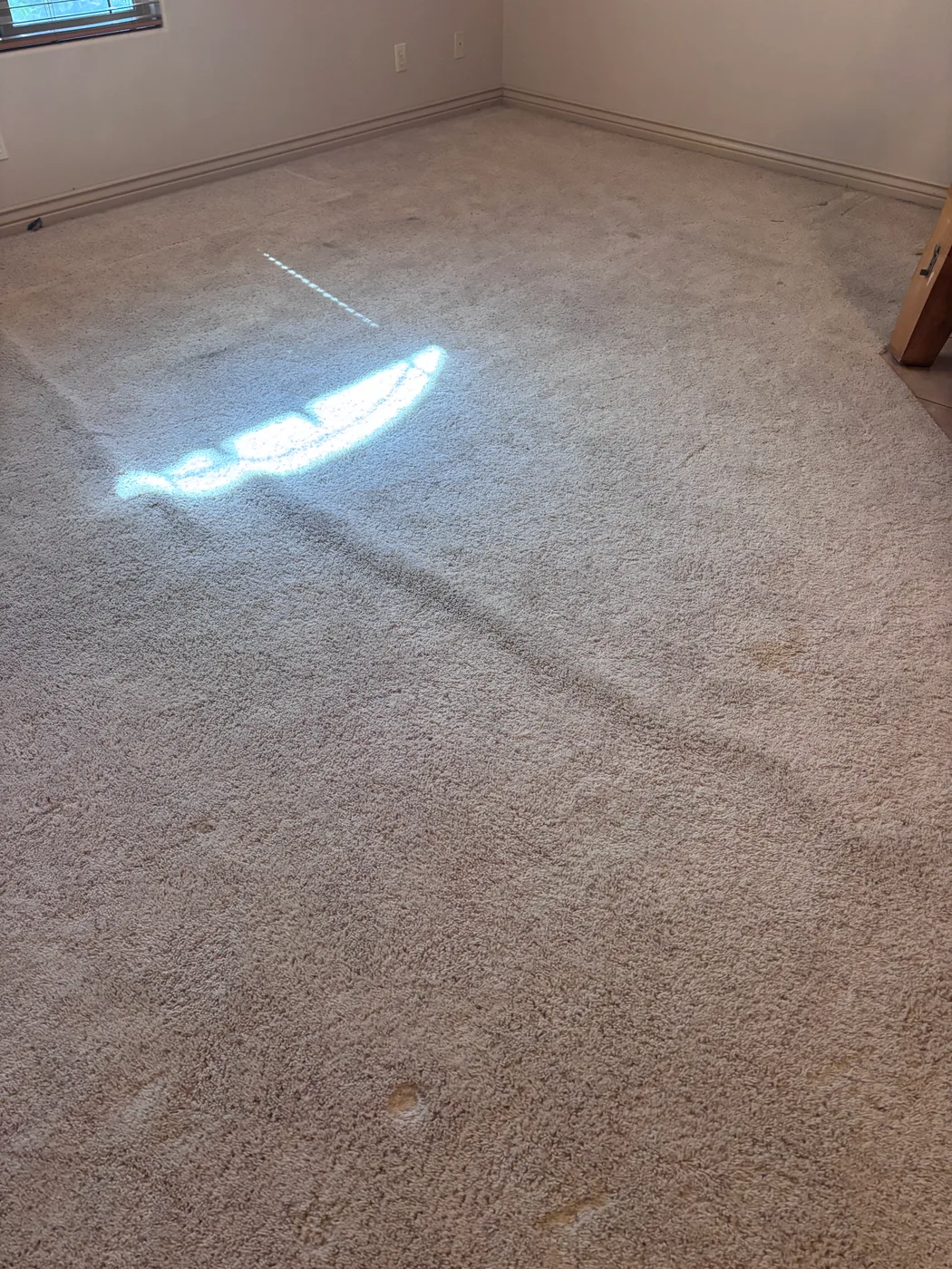 Loose beige bedroom carpet with a ripple shown by a flashlight beam, from a 316 carpet stretching job