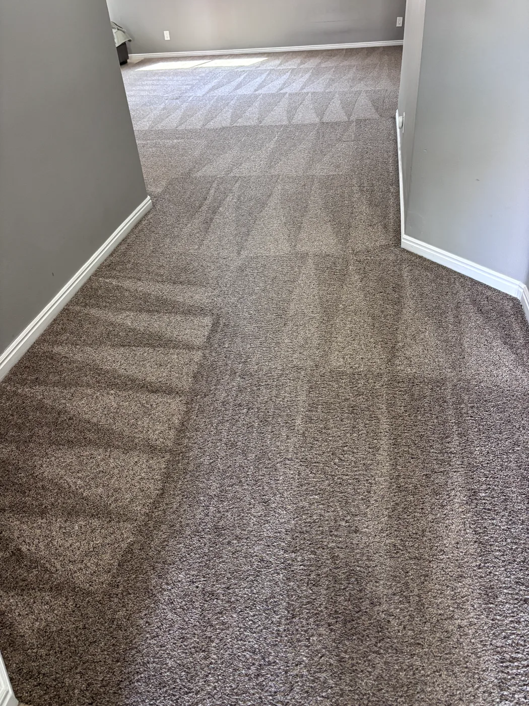 Clean carpet traffic lane result from an owner-shot job