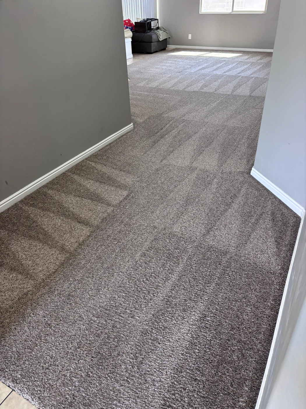 Clean carpet hallway result from an owner-shot job