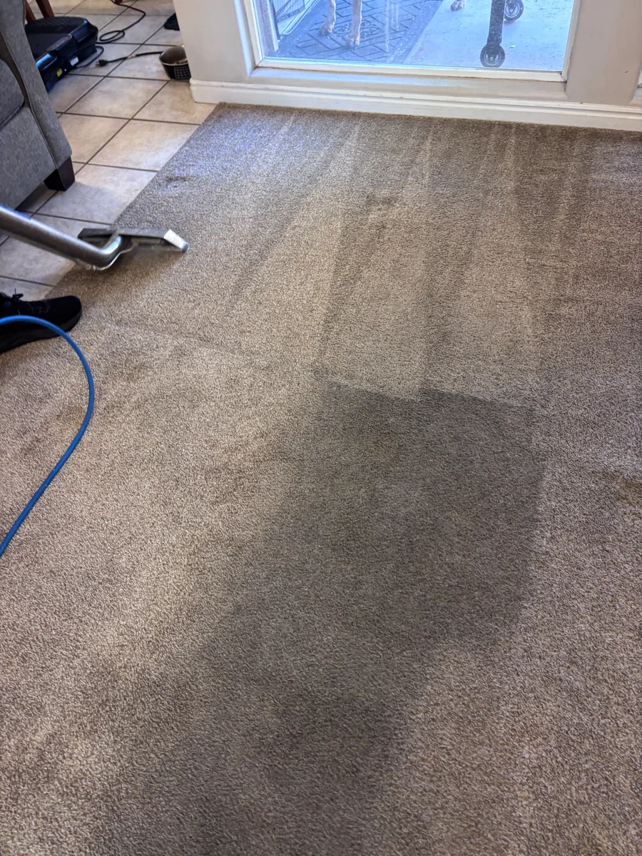 Owner-shot carpet cleaning progress photo in St. George