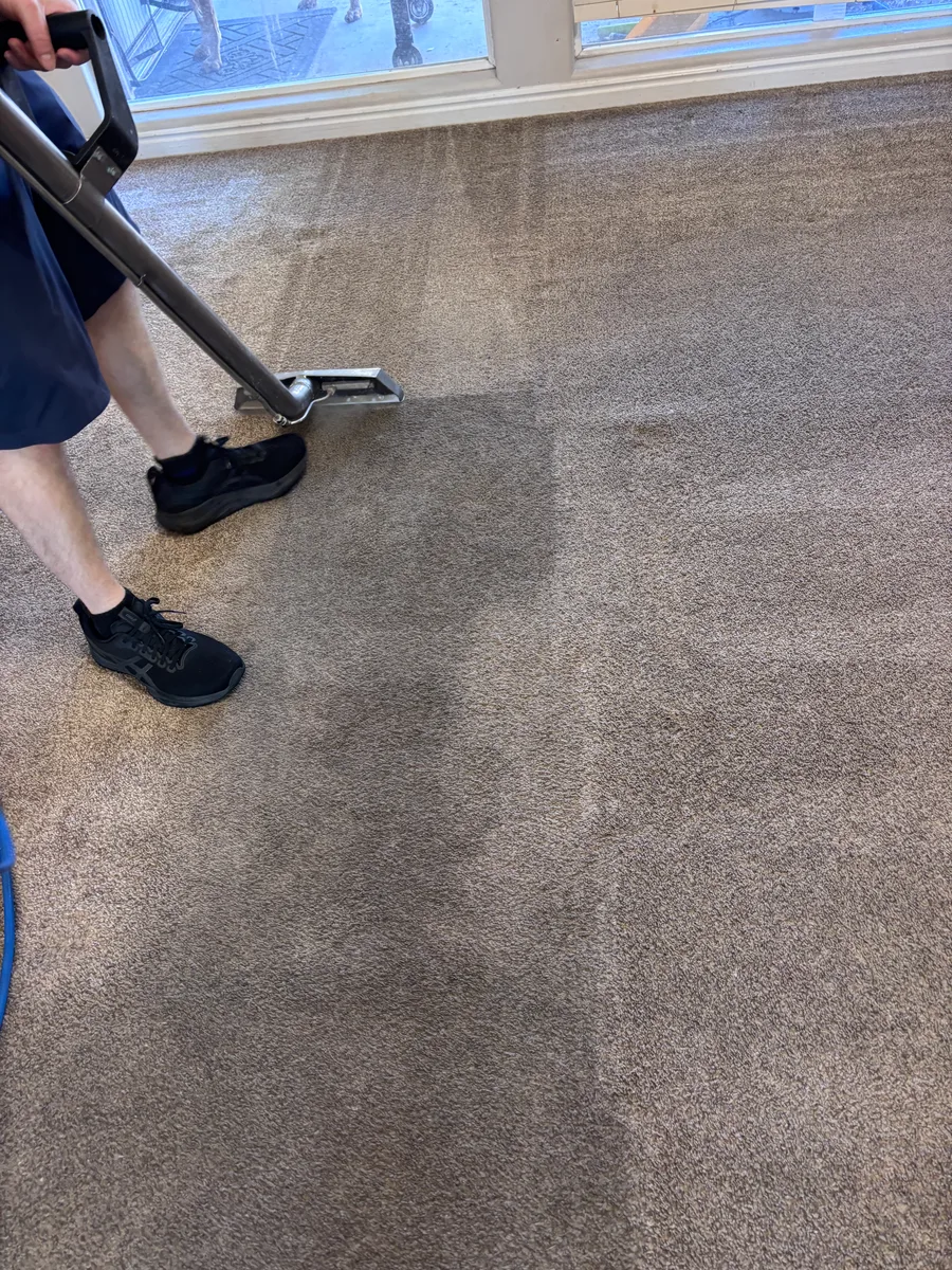 316 Carpet Cleaning wand cleaning residential carpet in St. George