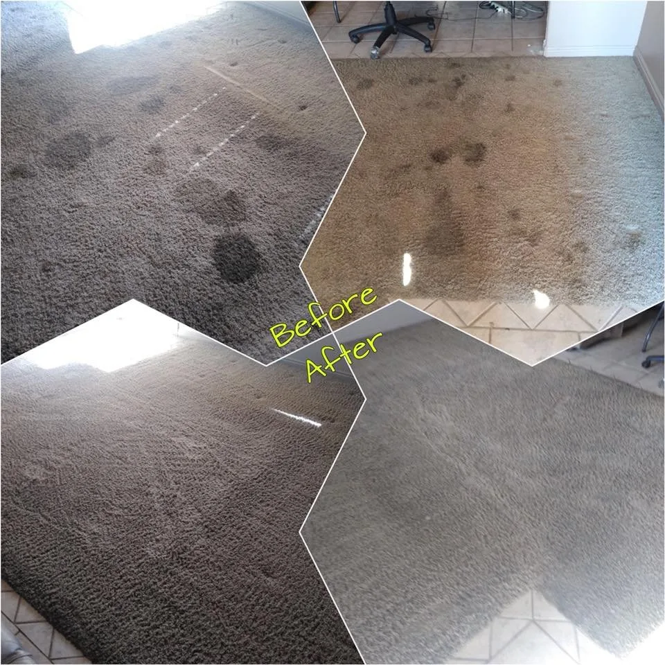 Carpet spot cleaning result in Southern Utah