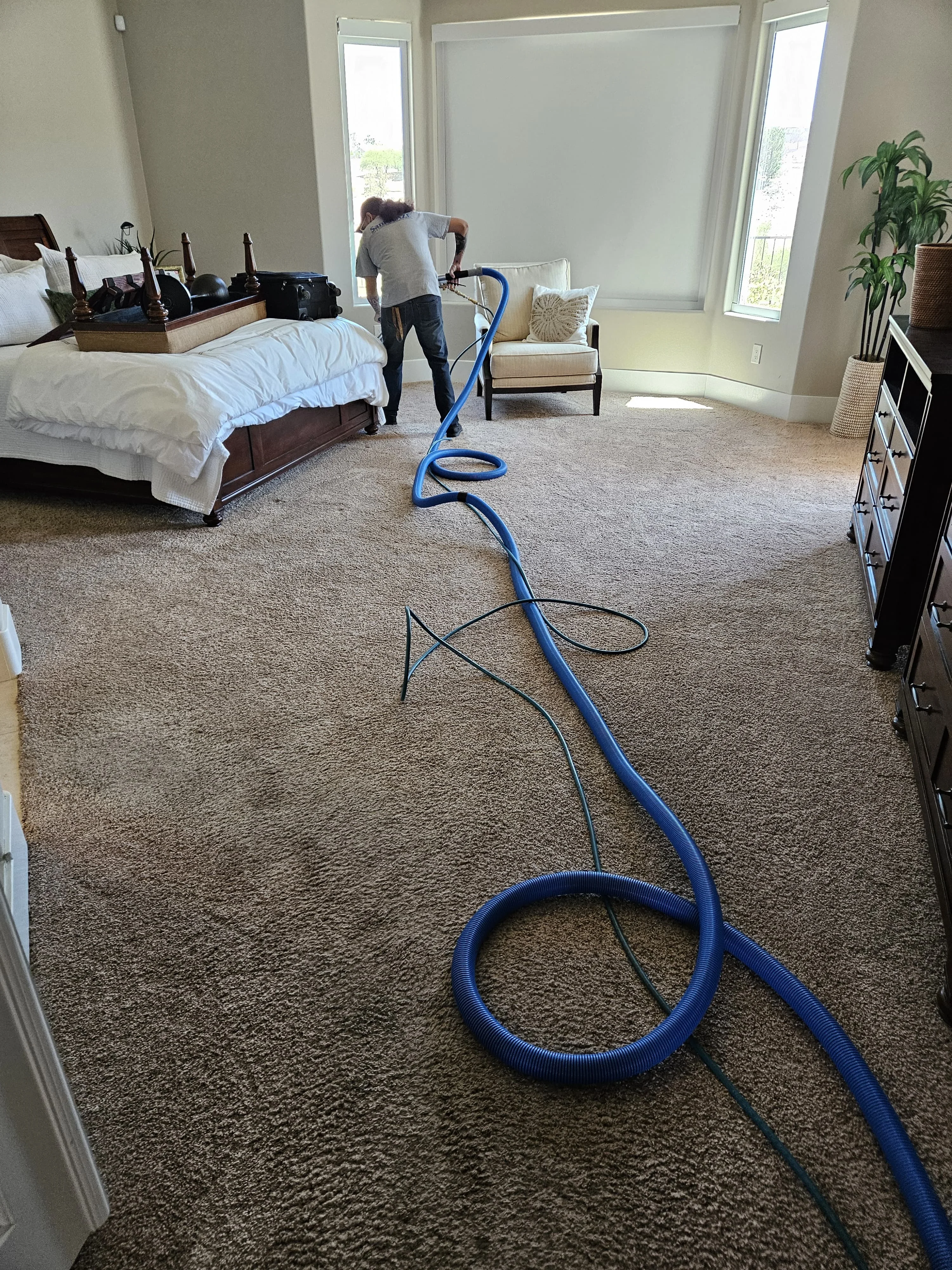 316 Carpet Cleaning technician cleaning bedroom carpet with a truck-mount wand
